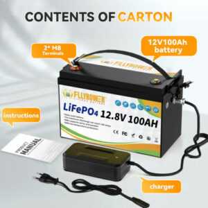 12V 100Ah LiFePO4 Lithium Batterie Solar Wohnmobil Akku BMS 10 Jahre Lebensdauer