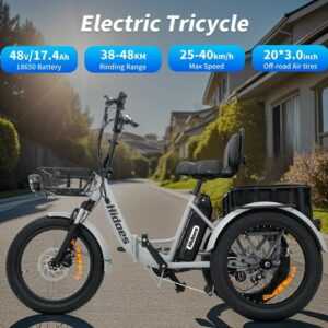 Hidoes T2/C6 Elektro-Dreirad 750W 48V 17.4Ah 20 Zoll 3-Rädern E-Bike 25KM 7Gänge