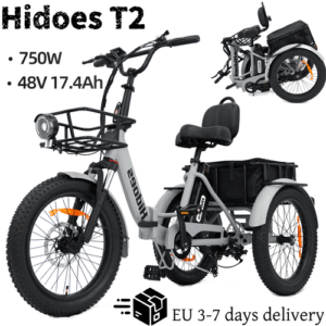 Hidoes T2 750W Elektro-Dreirad 48V 17.4Ah 20 Zoll 3-Rädern E-Bike 7 Gänge 25KM/H